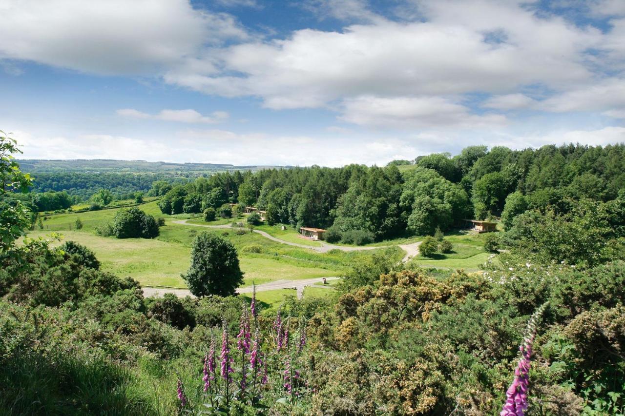 Yorkshire Dales Lodge 3 Family 3 Bed Richmond  Dış mekan fotoğraf