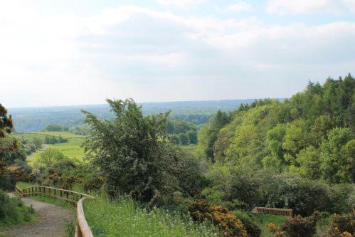 Yorkshire Dales Lodge 3 Family 3 Bed Richmond  Dış mekan fotoğraf